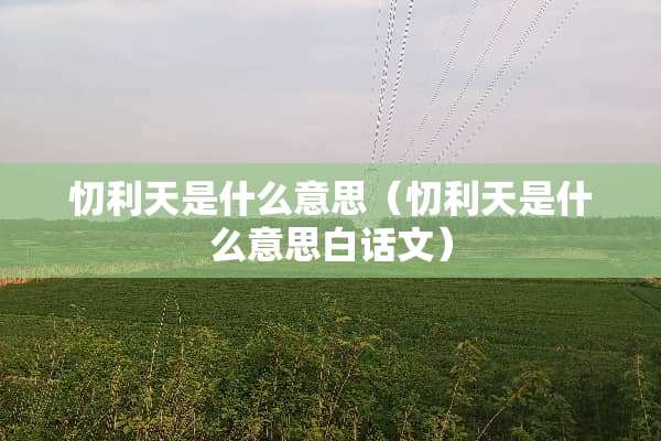忉利天是什么意思（忉利天是什么意思白话文）