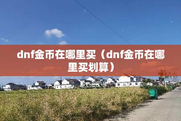 dnf金币在哪里买（dnf金币在哪里买划算）