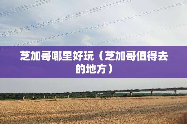芝加哥哪里好玩（芝加哥值得去的地方）