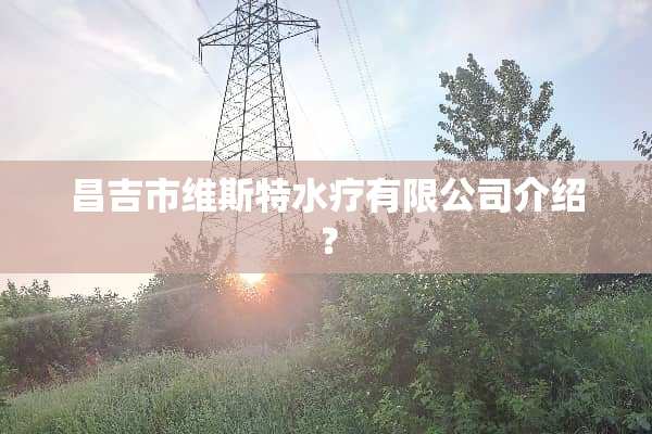 昌吉市维斯特水疗有限公司介绍？