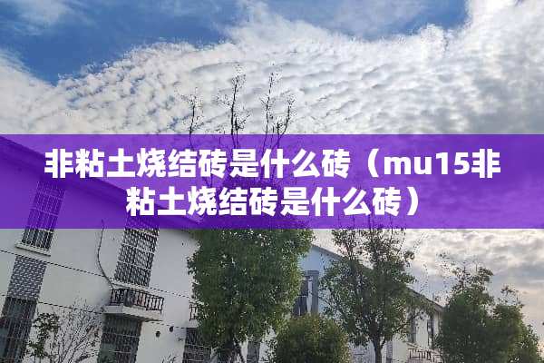 非粘土烧结砖是什么砖（mu15非粘土烧结砖是什么砖）