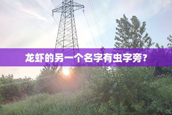 龙虾的另一个名字有虫字旁？