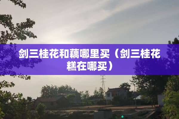 剑三桂花和藕哪里买（剑三桂花糕在哪买）