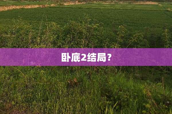 **2结局？