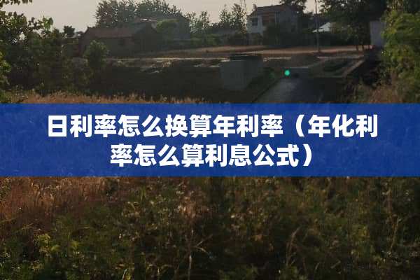 日利率怎么换算年利率（年化利率怎么算利息公式）