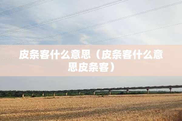 皮条客什么意思（皮条客什么意思皮条客）