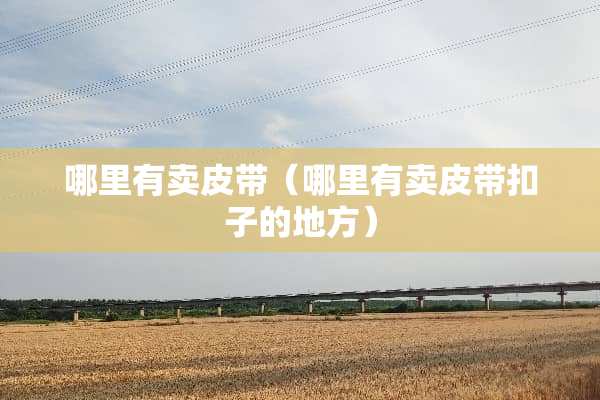 哪里有卖皮带（哪里有卖皮带扣子的地方）