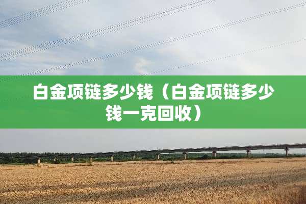 白金项链多少钱（白金项链多少钱一克回收）
