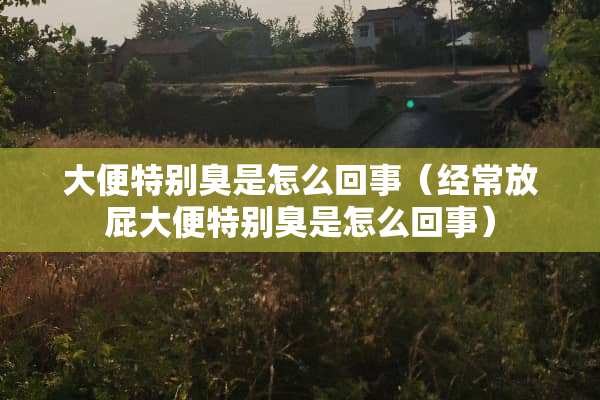 大便特别臭是怎么回事（经常放屁大便特别臭是怎么回事）
