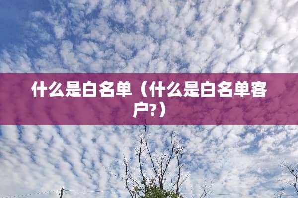 什么是白名单（什么是白名单客户?）