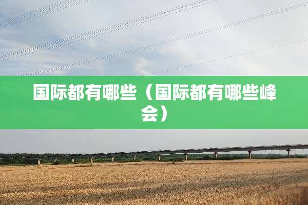 国际都有哪些（国际都有哪些峰会）