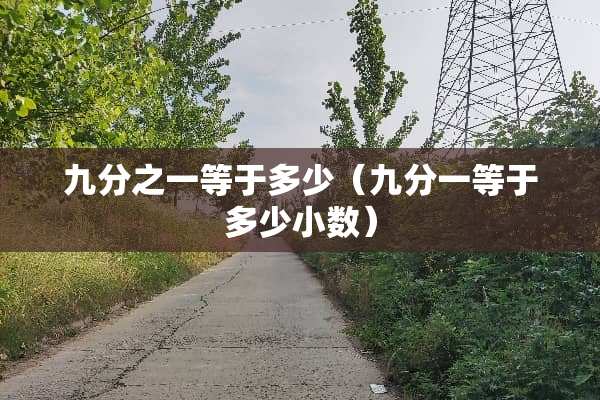 九分之一等于多少（九分一等于多少小数）