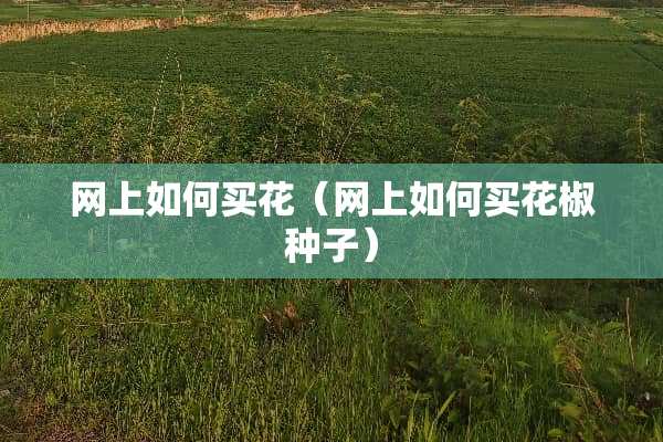 网上如何买花（网上如何买花椒种子）