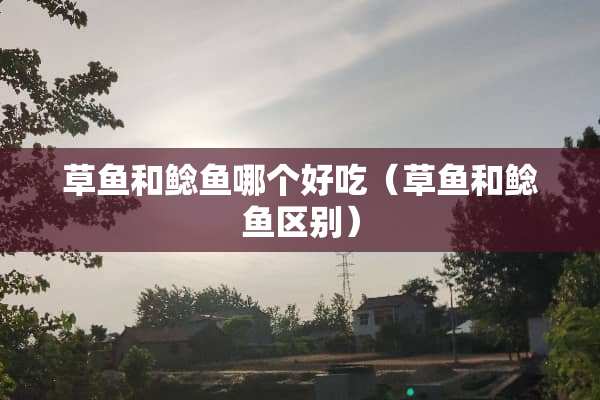 草鱼和鲶鱼哪个好吃（草鱼和鲶鱼区别）