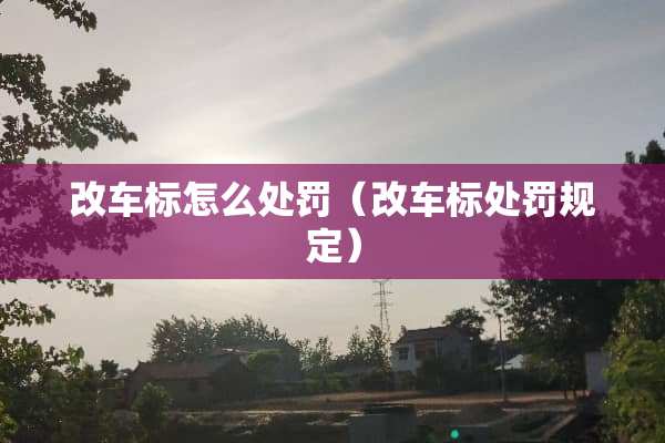 改车标怎么处罚（改车标处罚规定）