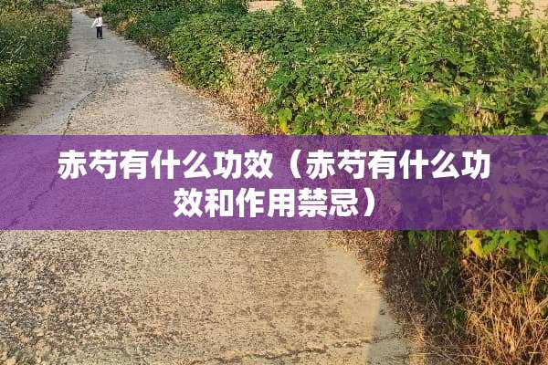 赤芍有什么功效（赤芍有什么功效和作用禁忌）