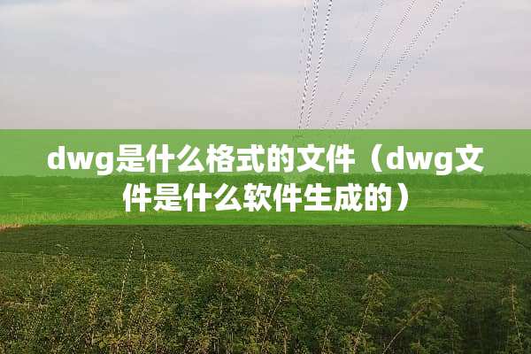 dwg是什么格式的文件（dwg文件是什么软件生成的）
