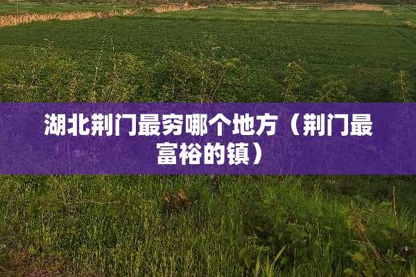 湖北荆门最穷哪个地方（荆门最富裕的镇）