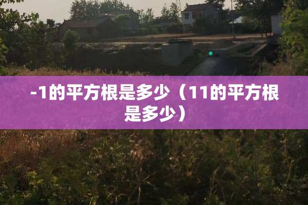 -1的平方根是多少（11的平方根是多少）