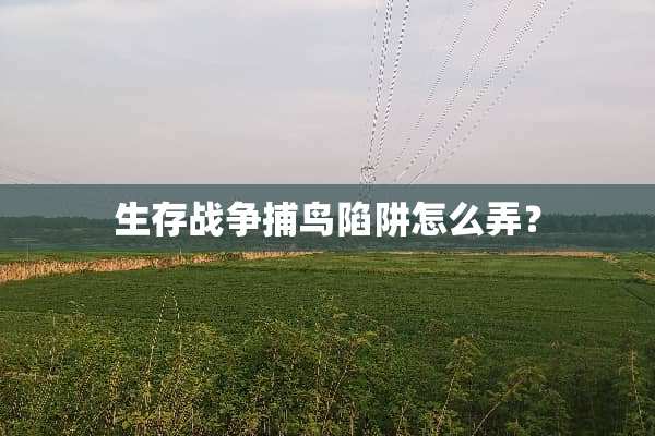 生存战争捕鸟陷阱怎么弄？