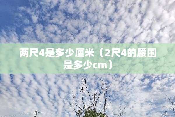 两尺4是多少厘米（2尺4的腰围是多少cm）