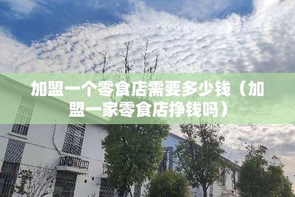 加盟一个零食店需要多少钱（加盟一家零食店挣钱吗）