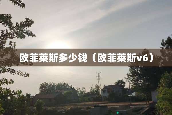 欧菲莱斯多少钱（欧菲莱斯v6）