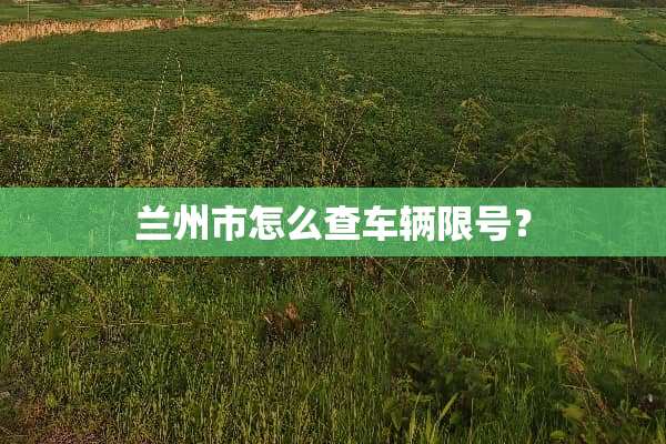 兰州市怎么查车辆限号？