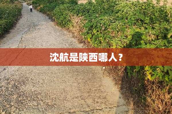 沈航是陕西哪人？