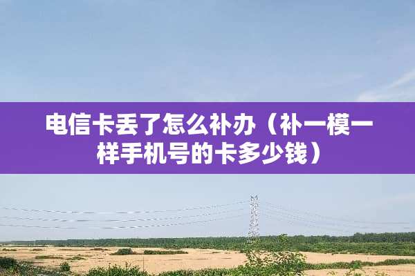 电信卡丢了怎么补办（补一模一样手机号的卡多少钱）