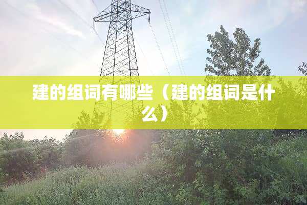 建的组词有哪些（建的组词是什么）