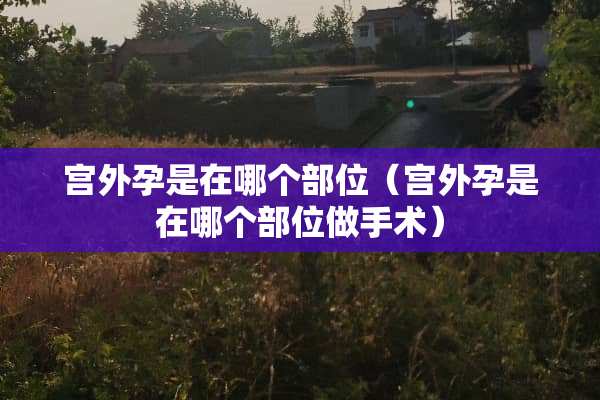 宫外孕是在哪个部位（宫外孕是在哪个部位做手术）