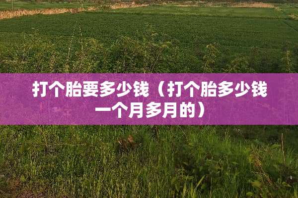 打个胎要多少钱（打个胎多少钱一个月多月的）