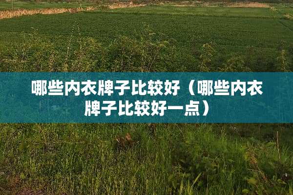 哪些**牌子比较好（哪些**牌子比较好一点）