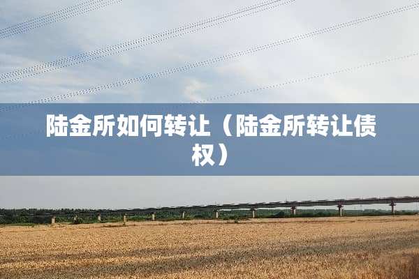陆金所如何转让（陆金所转让债权）