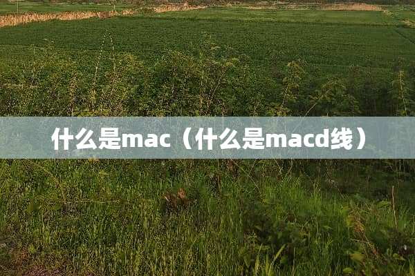 什么是mac（什么是macd线）
