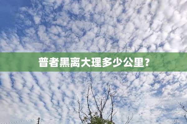 普者黑离大理多少公里？