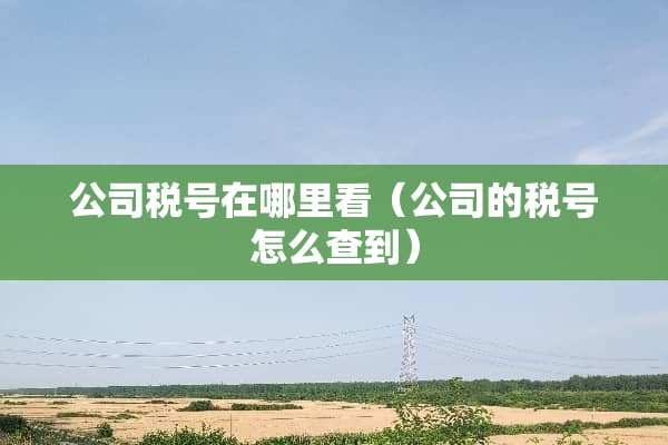 公司税号在哪里看（公司的税号怎么查到）