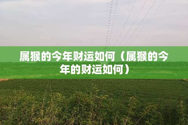 属猴的今年财运如何（属猴的今年的财运如何）