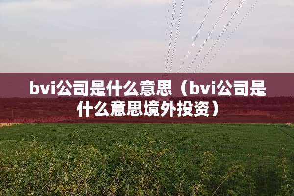 bvi公司是什么意思（bvi公司是什么意思境外投资）