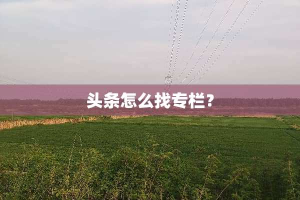 头条怎么找专栏？