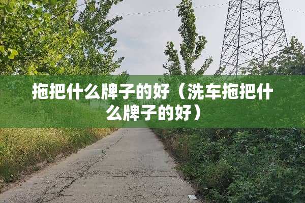 拖把什么牌子的好（洗车拖把什么牌子的好）