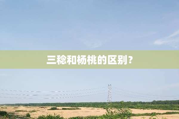 三稔和杨桃的区别？