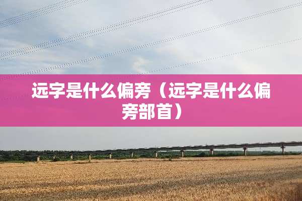远字是什么偏旁（远字是什么偏旁部首）