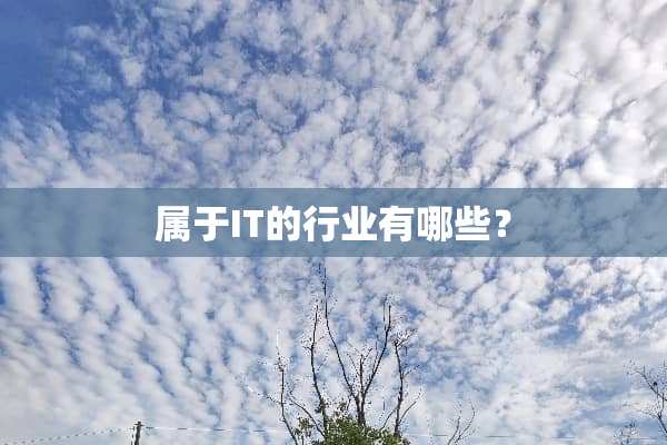 属于IT的行业有哪些？