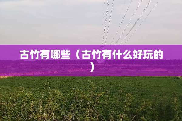 古竹有哪些（古竹有什么好玩的）
