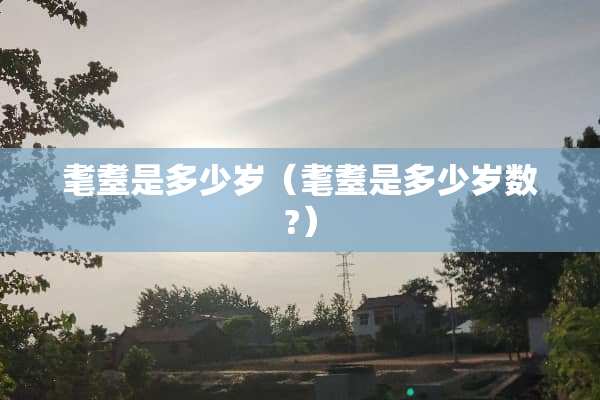 耄耋是多少岁（耄耋是多少岁数?）