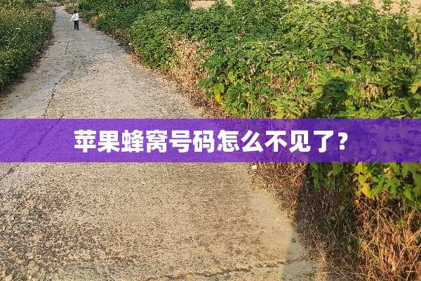 苹果蜂窝号码怎么不见了？
