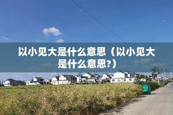 以小见大是什么意思（以小见大是什么意思?）