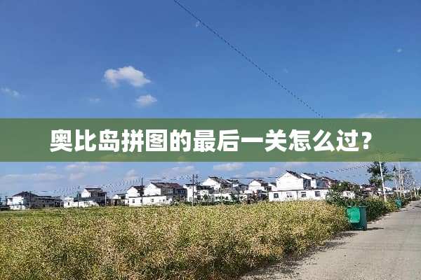 奥比岛拼图的最后一关怎么过？